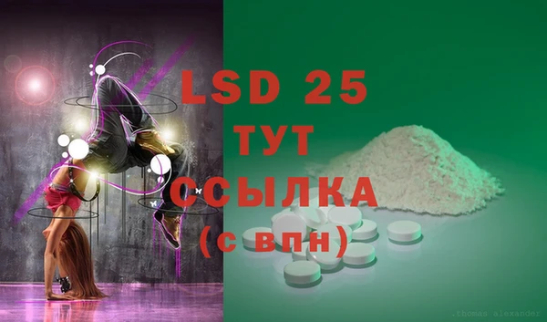 стаф Сосновка