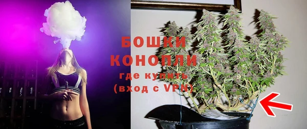 крисы Липки