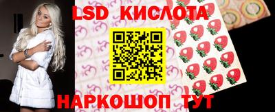 СК Дубна