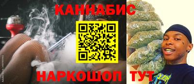 СК Дубна