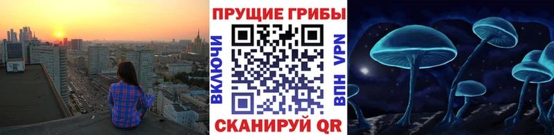 даркнет сайт Сокол mega ССЫЛКА Псилоцибиновые грибы MAGIC MUSHROOMS
