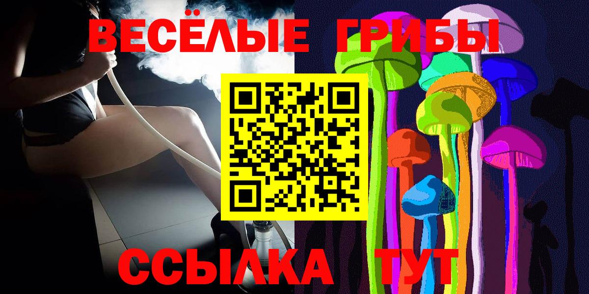 Псилоцибиновые грибы Psilocybine cubensis Сокол