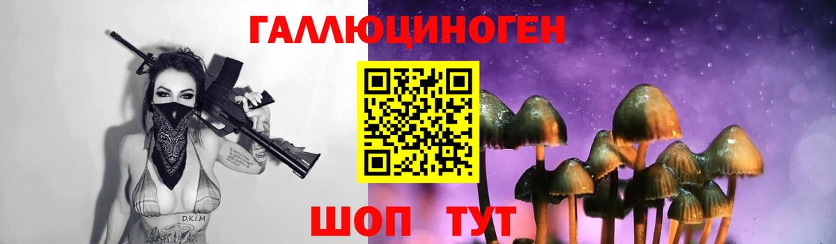 Сокол  закладки  Вход с VPN  Галлюциногенные грибы ЛСД  Псилоцибиновые грибы Magic Shrooms 